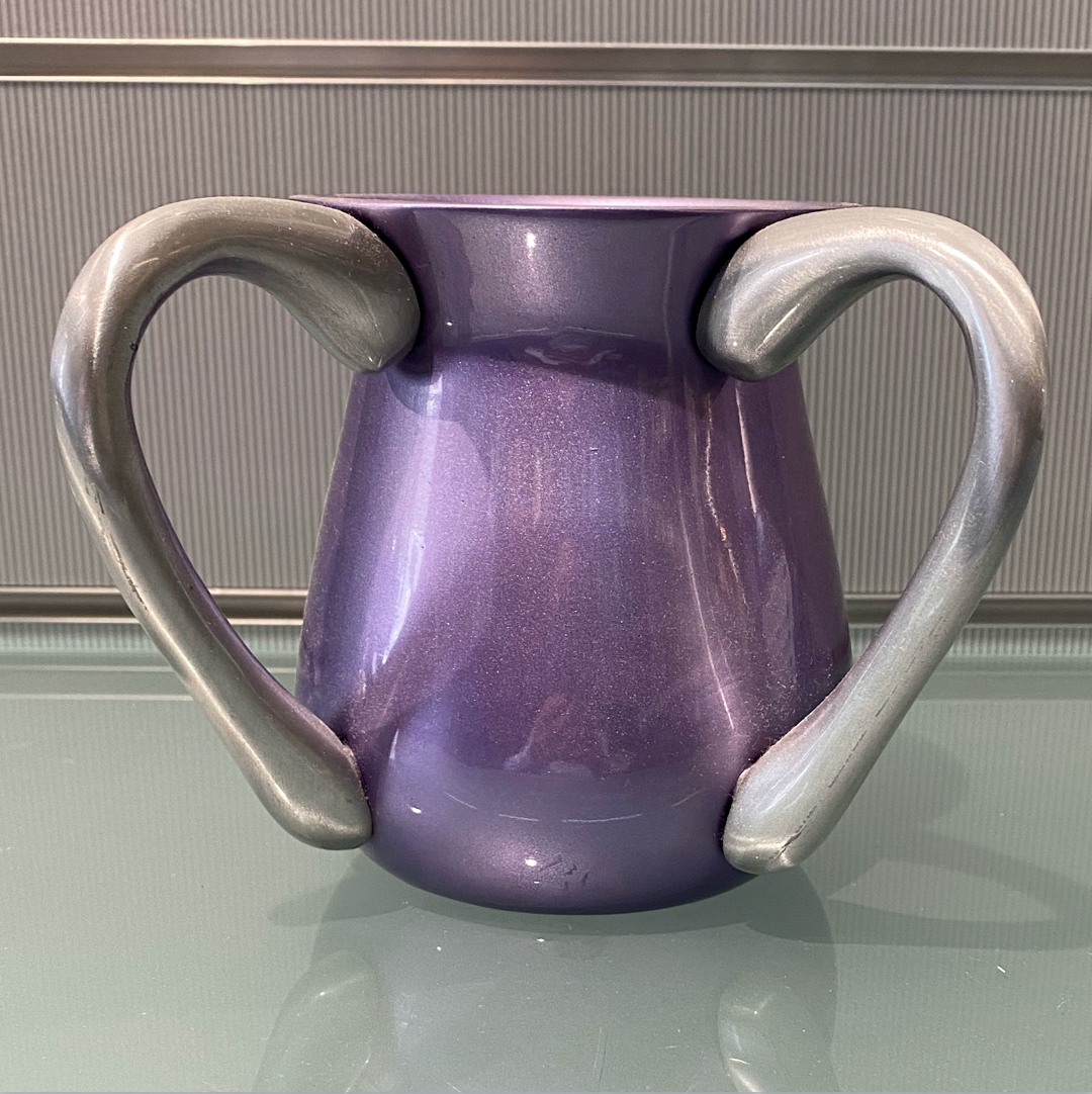 Wash Cup - Purple With Sparkles and Silver Handles