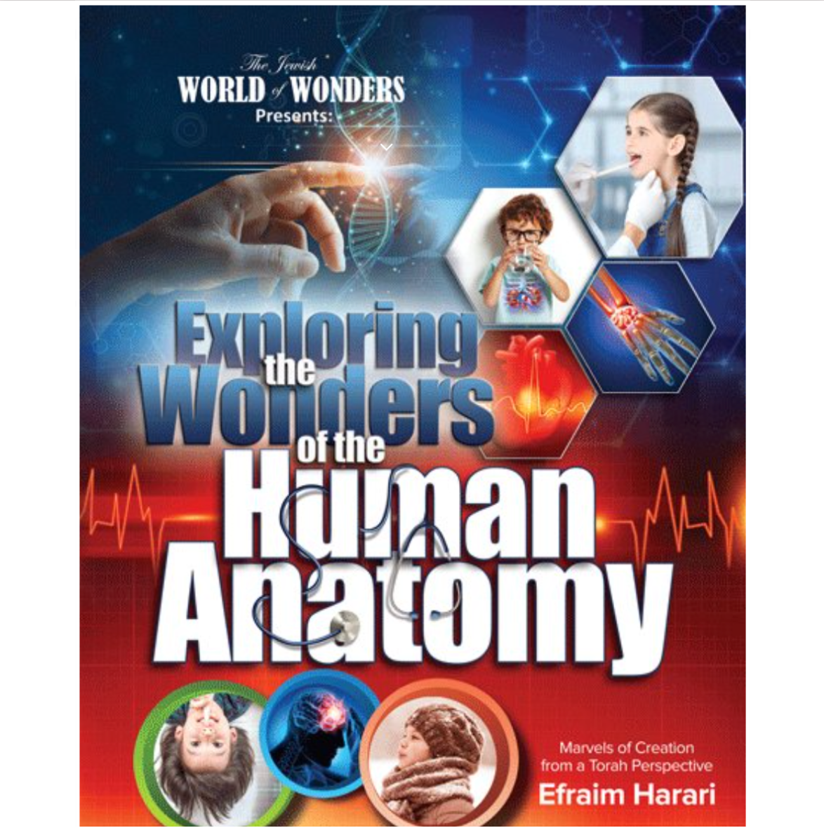 Exploring the Wonders of the Human Anatomy