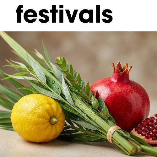 Festivals