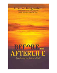 Before The Afterlife