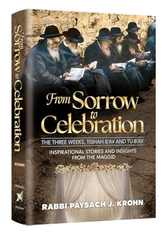 From Sorrow To Celebration Inspirarional Stories and Insights from the Maggid  by Rabbi Paysach Krohn (Author)