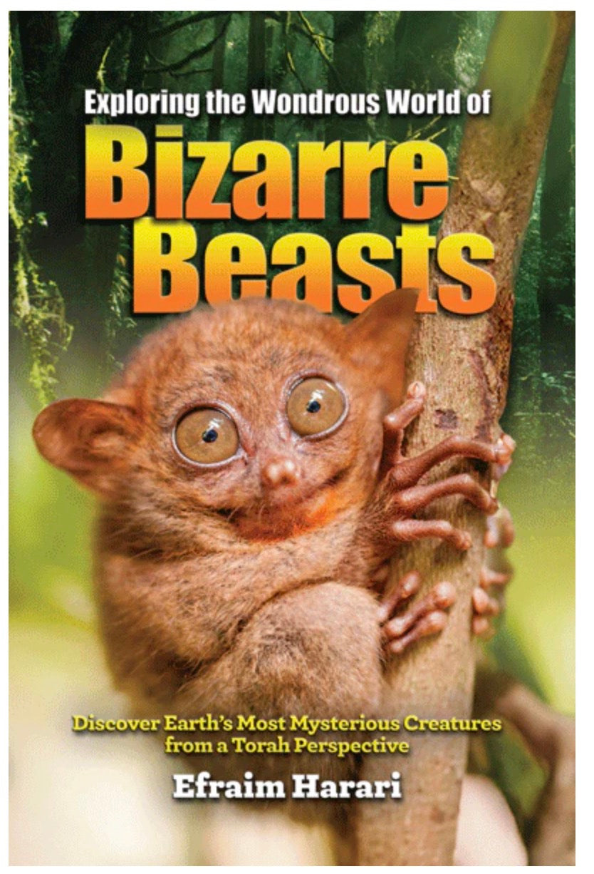 Exploring the Wondrous World of Bizarre Beasts   By Efraim Harari