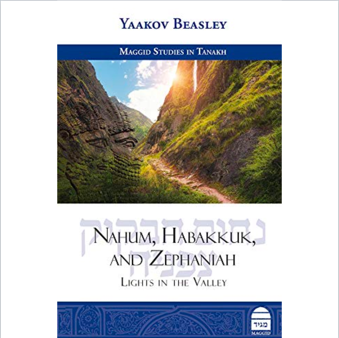 Nahum, Habakkuk, and Zephaniah: Lights in the Valley Hardcover