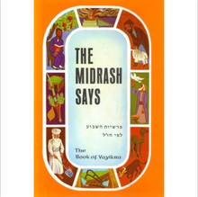 Load image into Gallery viewer, The Midrash Says: The Narrative of the Weekly Torah-portion in the Perspective of Our Sages (Five Vol. Set)
