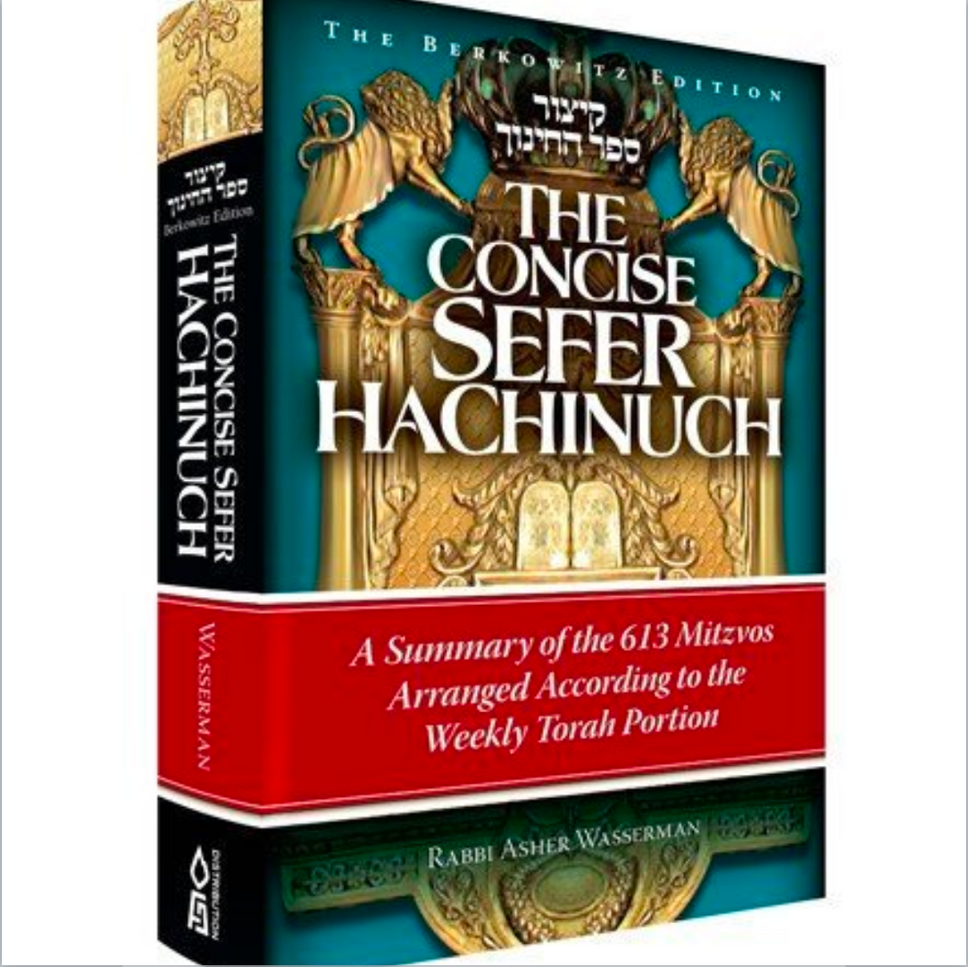 Concise Sefer HaChinuch: A Summary of the 613 Mitzvos Arranged According to the Weekly Torah Portion
