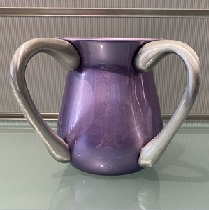 Wash Cup - Purple With Sparkles and Silver Handles