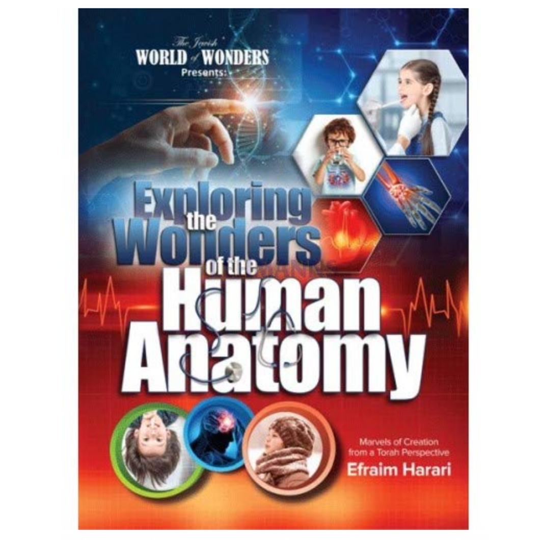 Exploring the Wonders of the Human Anatomy
