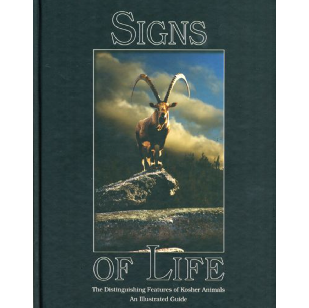 Signs of Life - Distinguishing Features of Kosher Animals