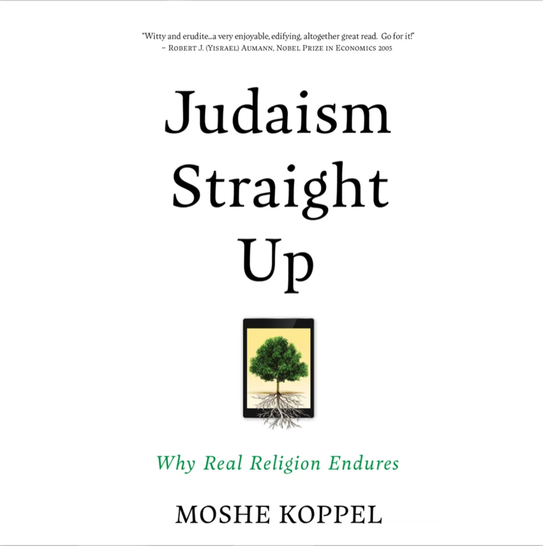 Judaism Straight Up