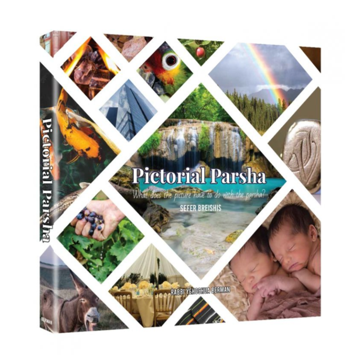 Pictorial Parsha: Bereishis