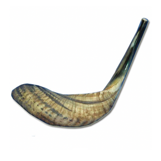 Shofar - Size AA6