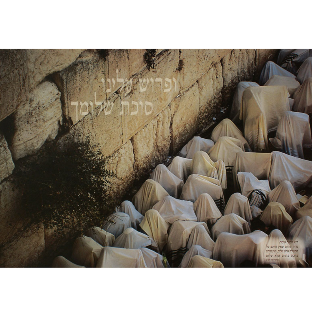 Birkat Kohanim
