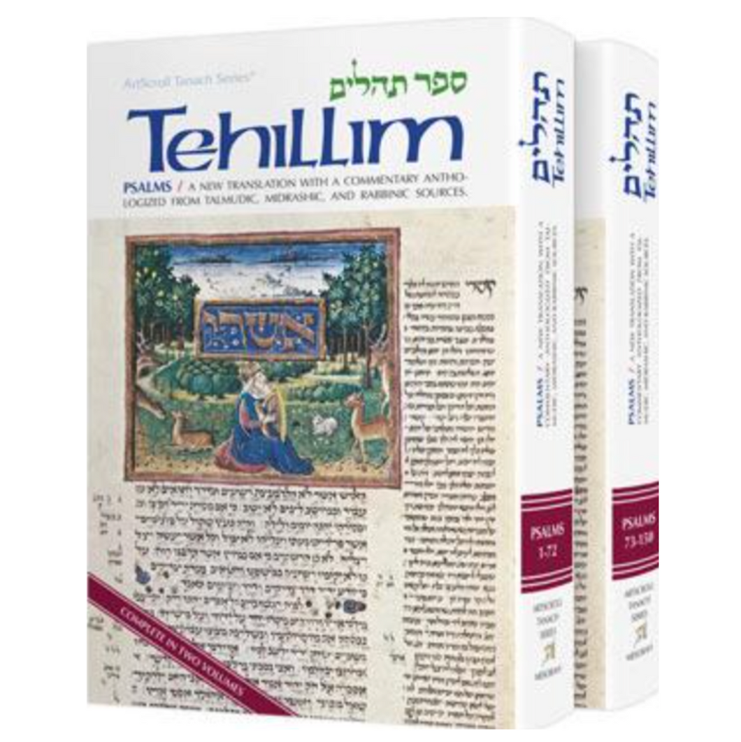 Tehillim Psalms - A new translation - Two Volume Set